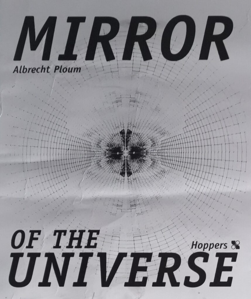 Mirror of the Universe
